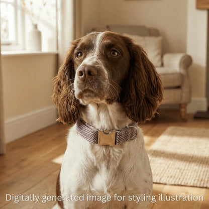 Dog wearing a collar in a home setting with text indicating digital generation.