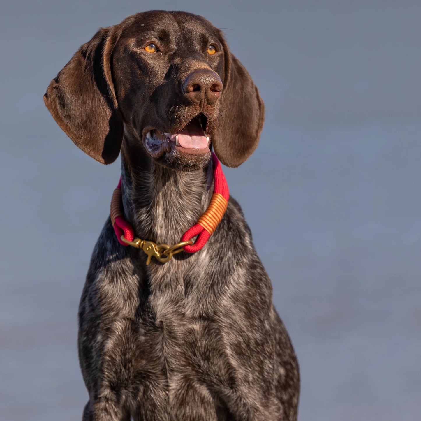 Vibrant Red Handmade Rope Dog Collar with whipping