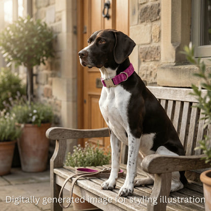 Pink Koana Harris Tweed Dog Collar - Collared Creatures LTD