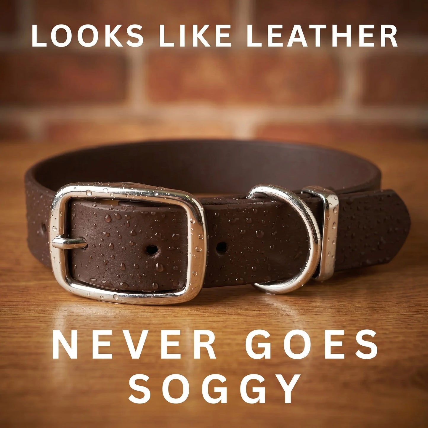 Dark Brown Waterproof Biothane Buckle Dog Collar