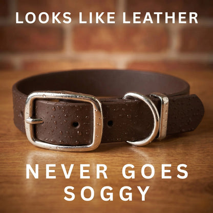 Dark Brown Waterproof Biothane Buckle Dog Collar