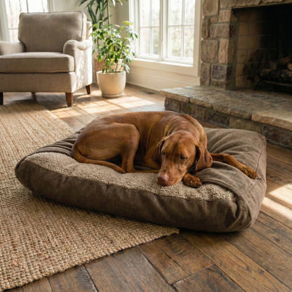 Dog resting on a large brown snuggle sack in a cozy living room with a fireplace.