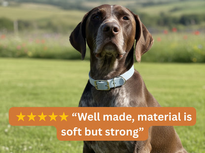 Dog wearing a collar with a five-star rating text overlay on a grassy field background