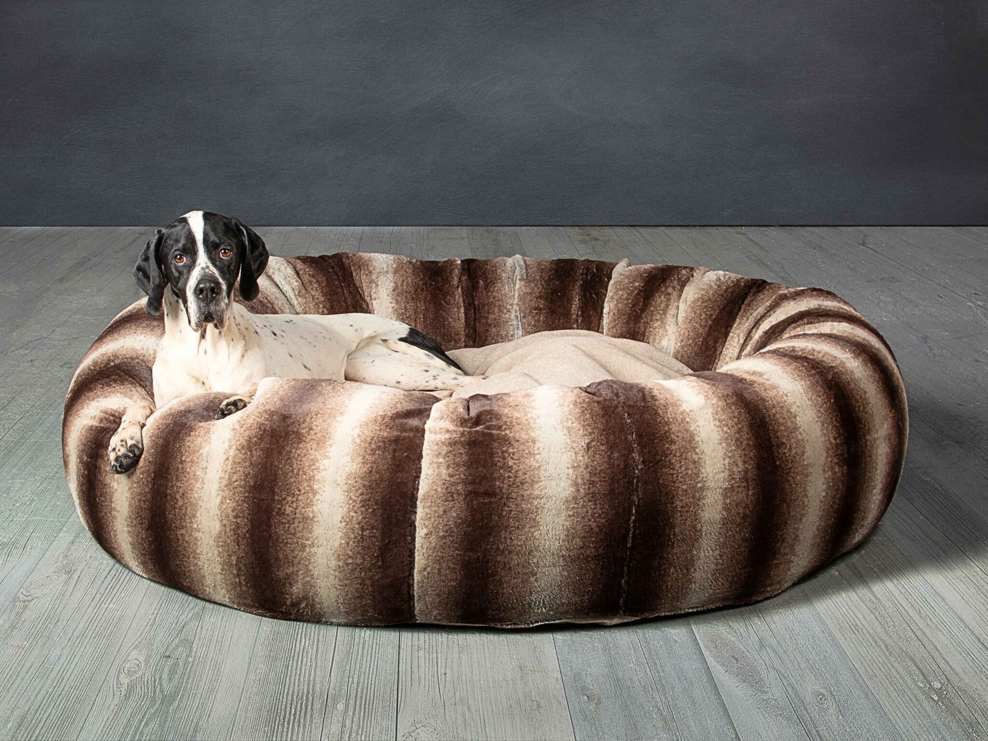Pointer relaxing on luxury brown donut dog bed with soft faux fur