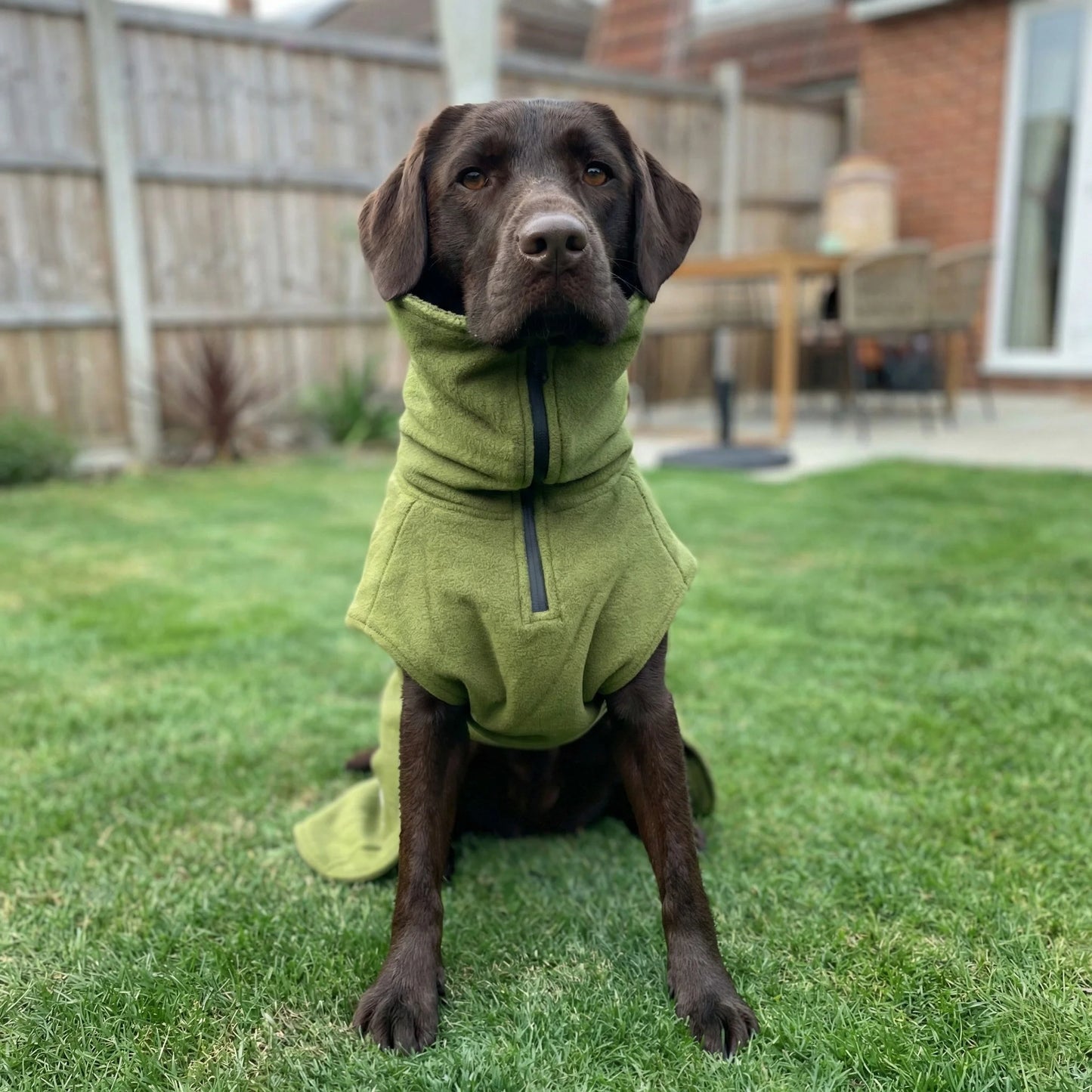 Green Perfectly Practical Dog Drying Coat - Collared Creatures LTD