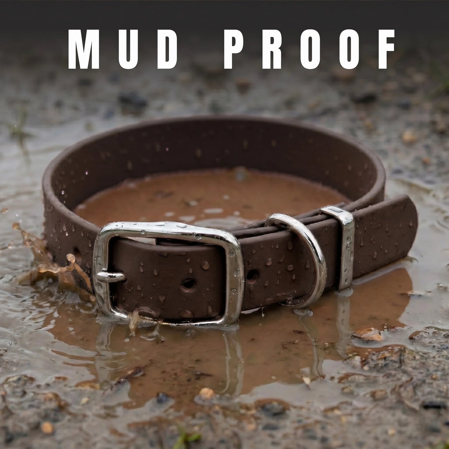 Dark Brown Waterproof Biothane Buckle Dog Collar