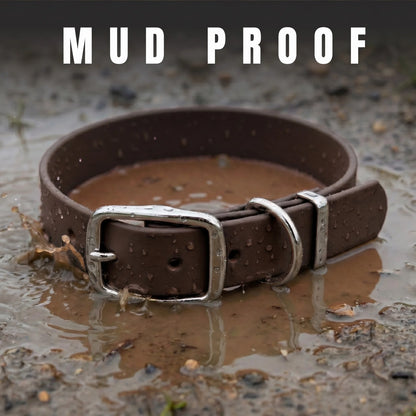 Dark Brown Waterproof Biothane Buckle Dog Collar