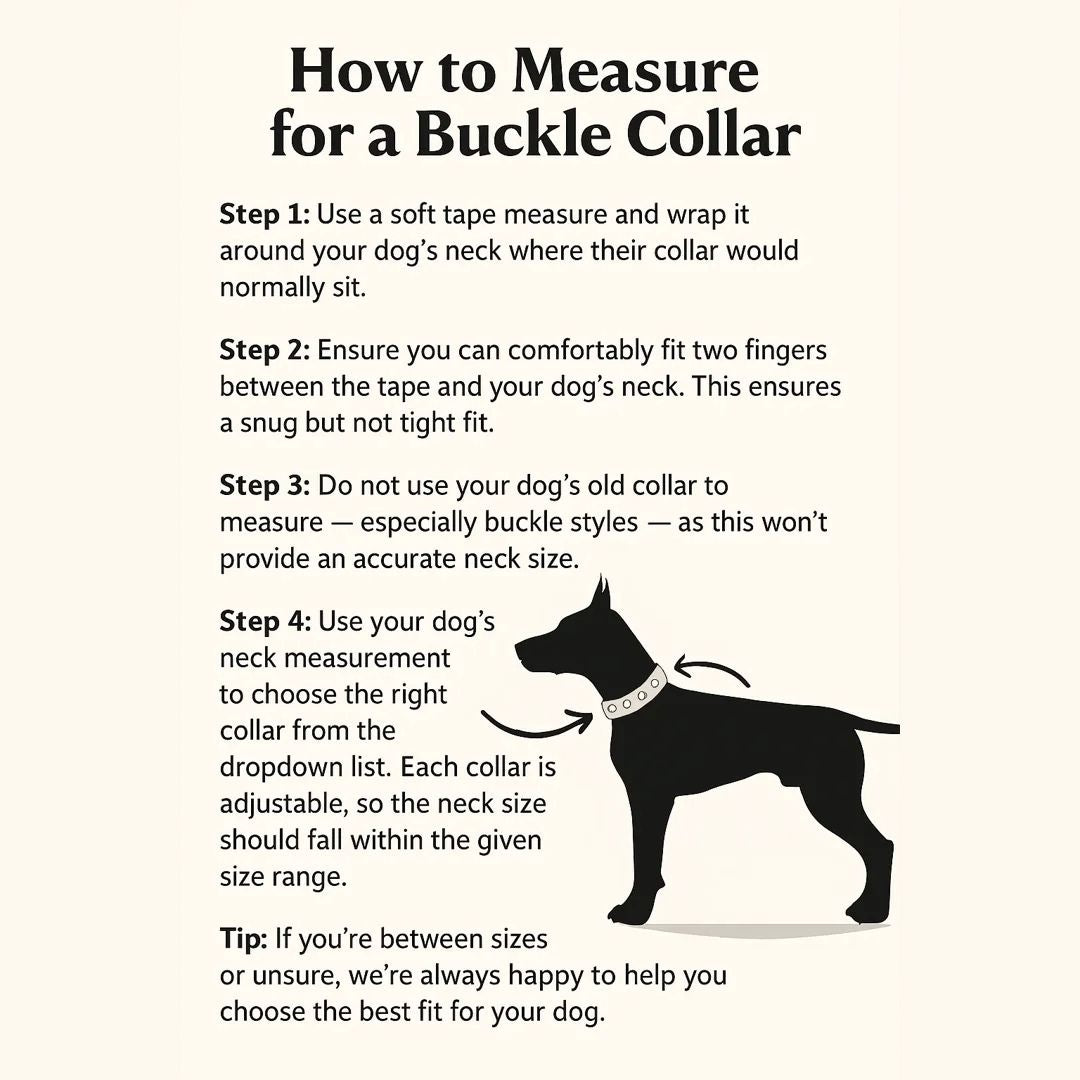 buckle-collar-measurement-guide