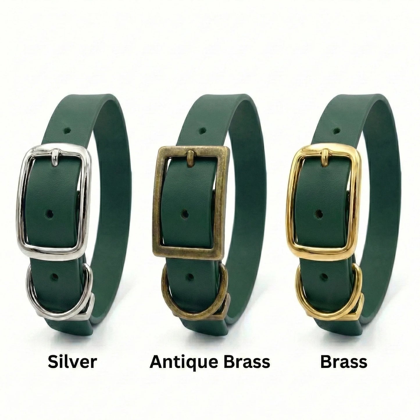 Dark Green Waterproof Biothane Buckle Dog Collar - Collared Creatures LTD