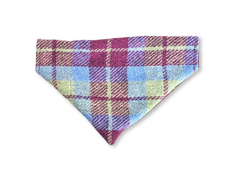 Burgundy and blue check Harris Tweed dog bandana over collar