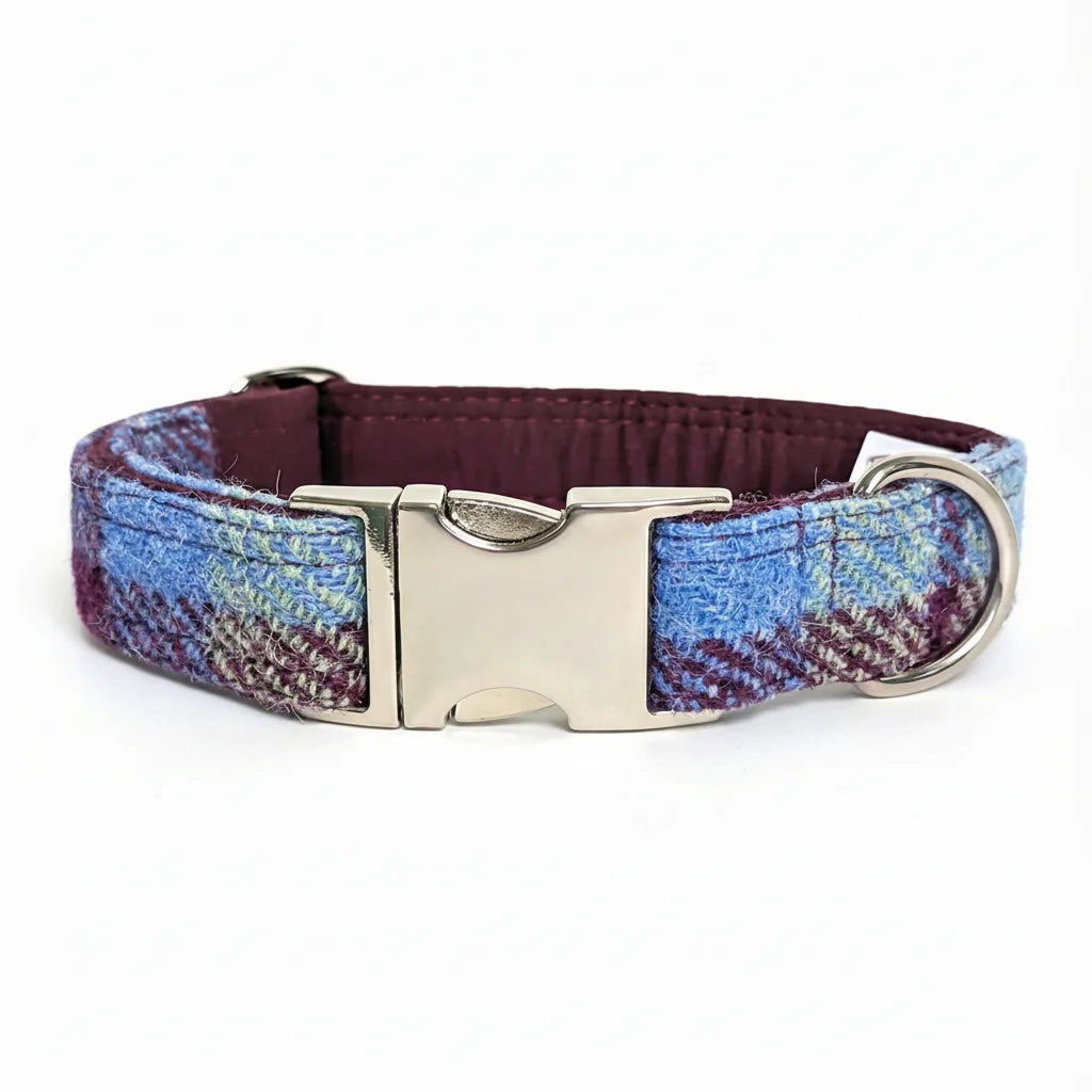 Burgundy and blue check Harris Tweed dog collar with silver buckle on a white background