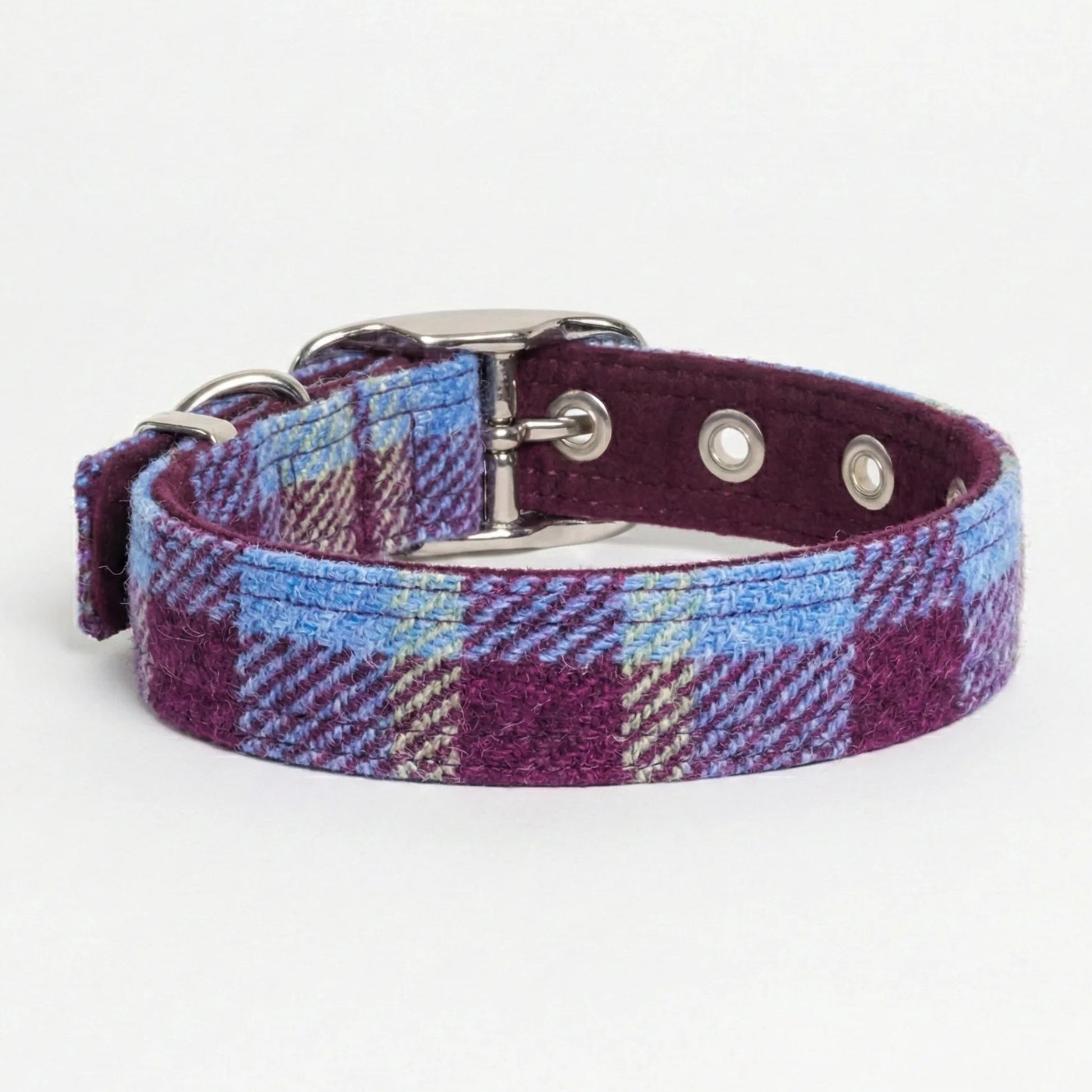 Plaid dog collar with metal buckle on a white background