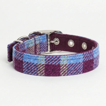 Plaid dog collar with metal buckle on a white background
