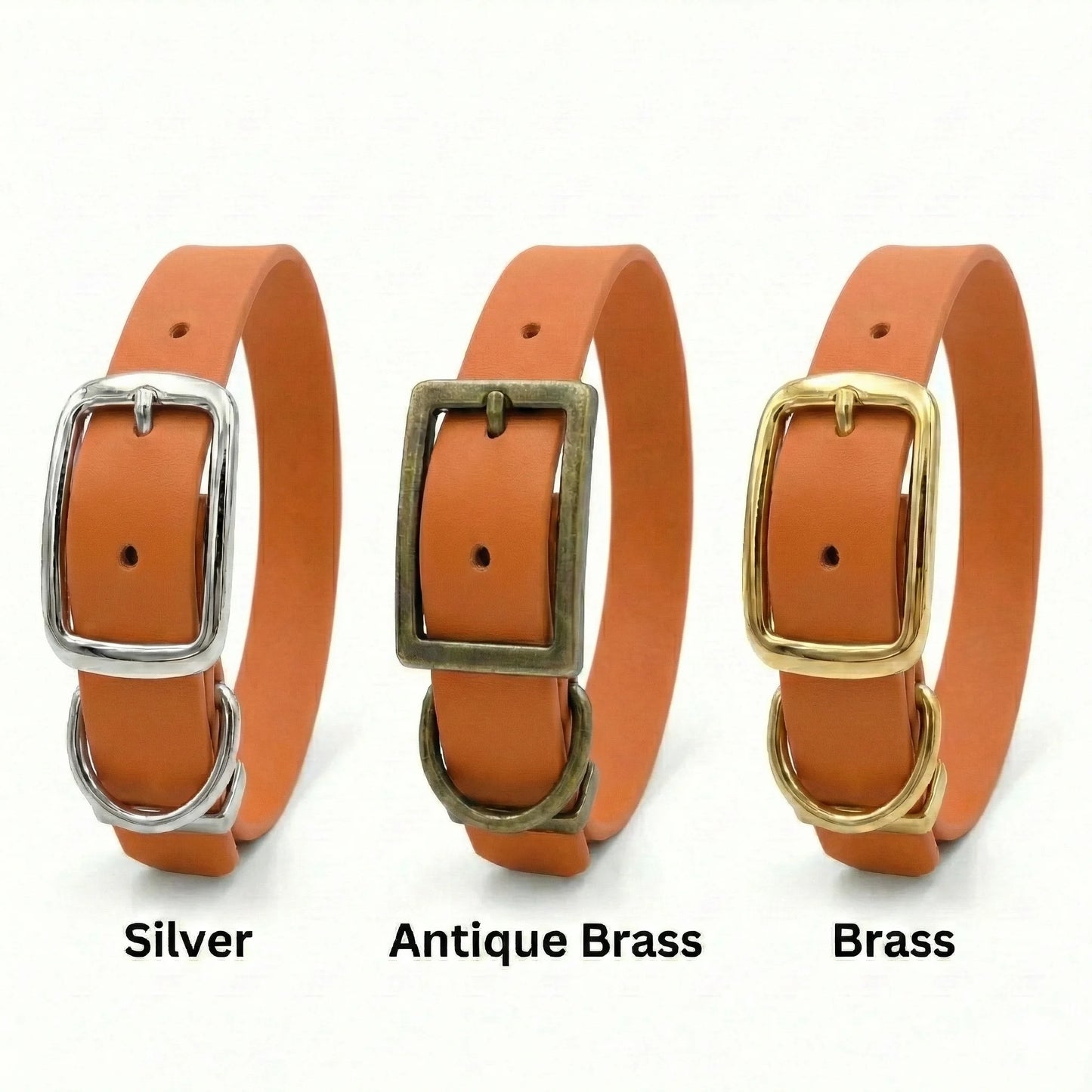 Burnt Orange Waterproof Biothane Buckle Dog Collar - Collared Creatures LTD