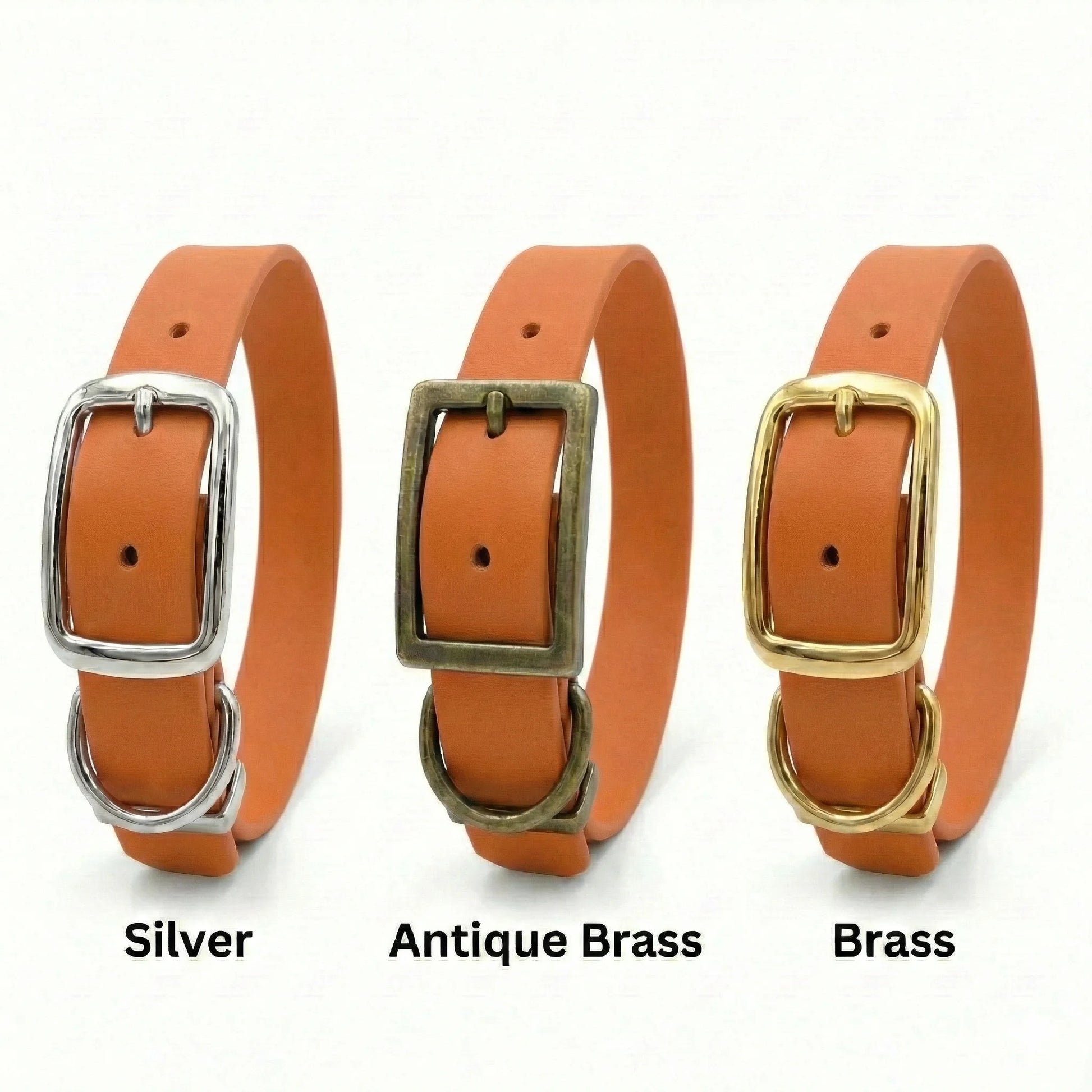 Burnt Orange Waterproof Biothane Buckle Dog Collar - Collared Creatures LTD