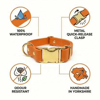 Burnt Orange Waterproof Biothane Metal Clasp Dog Collar