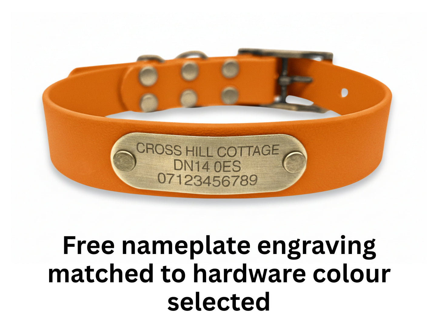 burnt orange biothane buckle collar with engraved nameplate 