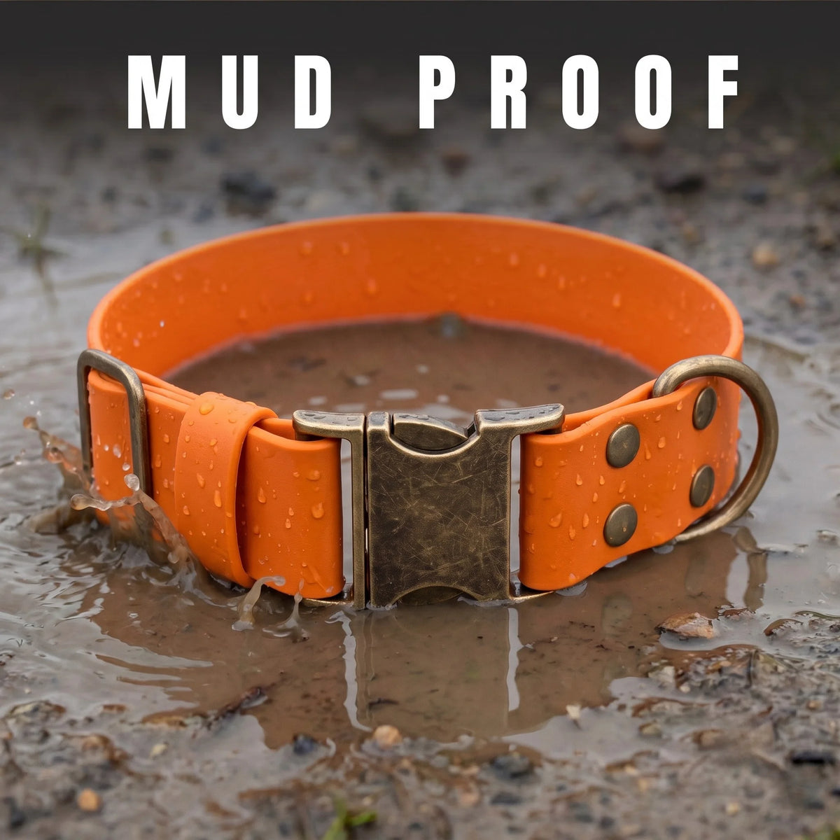 burnt orange waterproof dog collar, mud proof and standing in wet mud