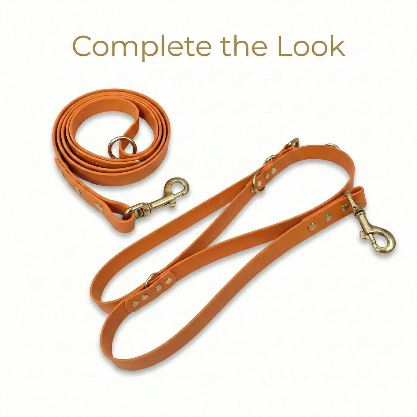 Burnt Orange Waterproof Biothane Metal Clasp Dog Collar