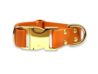 Burnt Orange Biothane clasp collar – water-repellent, odour-free, and built for muddy adventures – by Collared Creatures