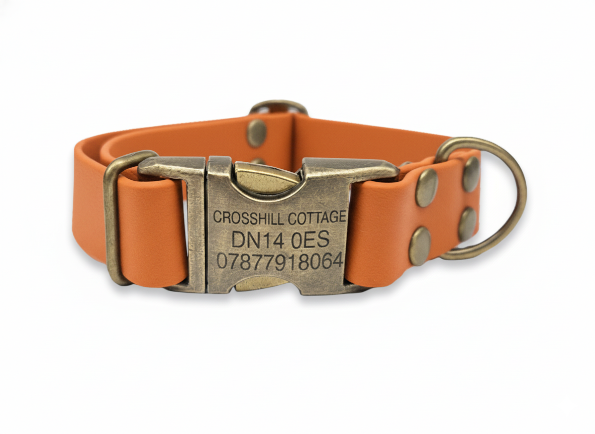 Orangebiothane dog collar with a metal buckle on a white background