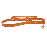 Burnt Orange Waterproof / Biothane Dog Training Lead