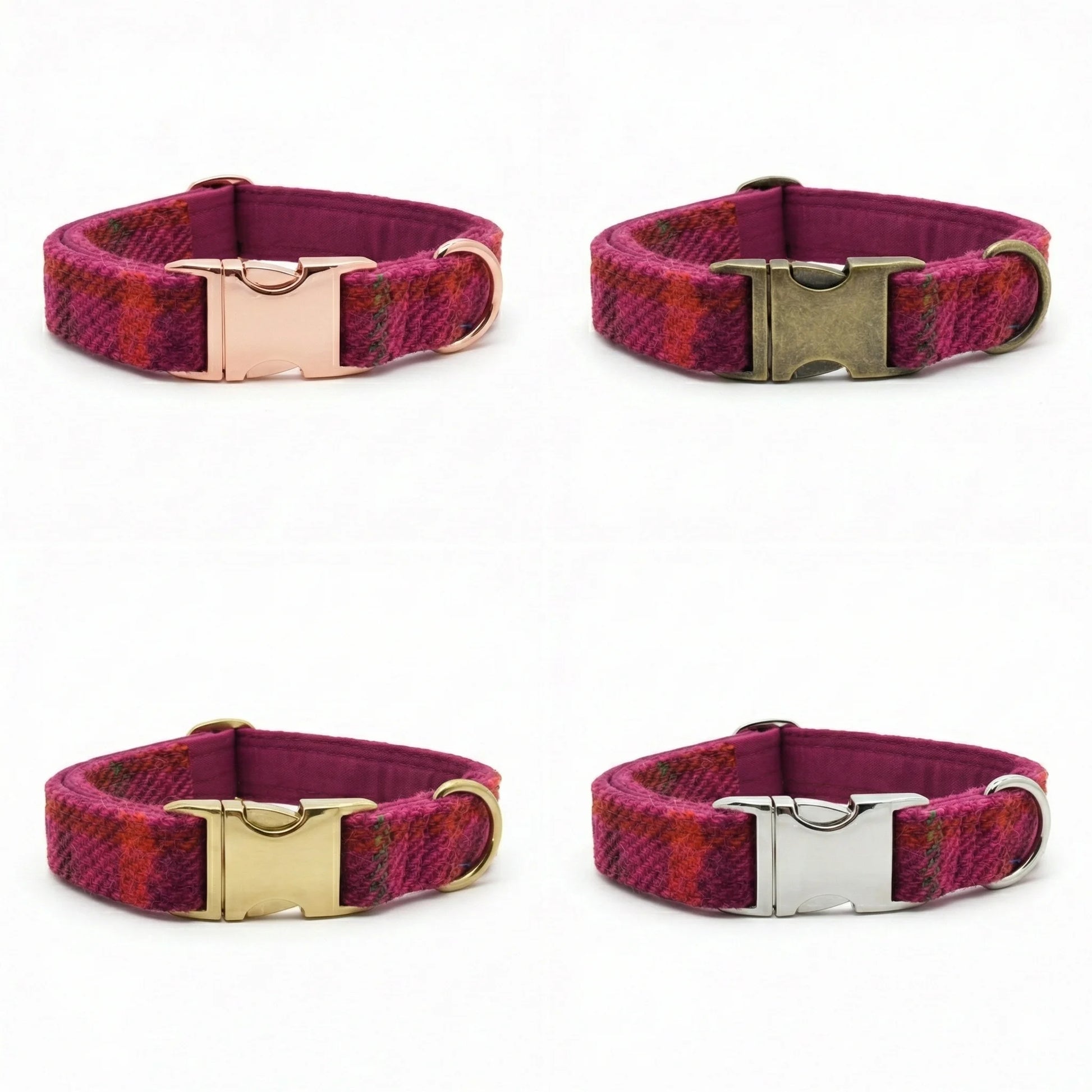 Four dog collars with different metal buckles on a white background