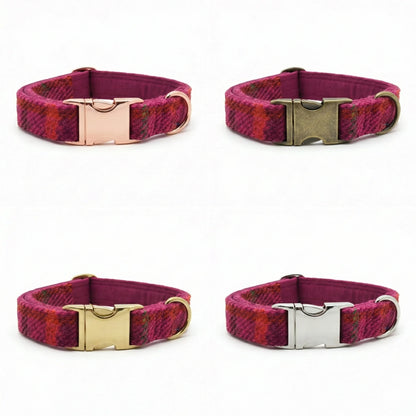 Four dog collars with different metal buckles on a white background