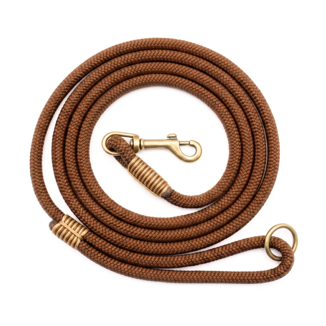 A coiled brown braided rope leash with brass-colored metal hardware, including a swivel snap hook, wrapped end caps, and a ring, shown on a plain white background.