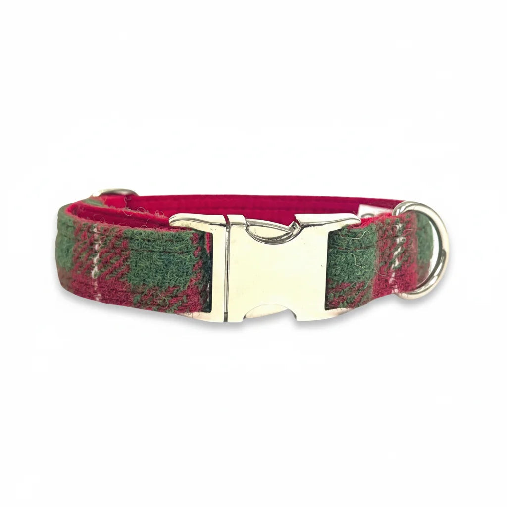 Christmas check Harris Tweed dog collar with silver buckle on a white background