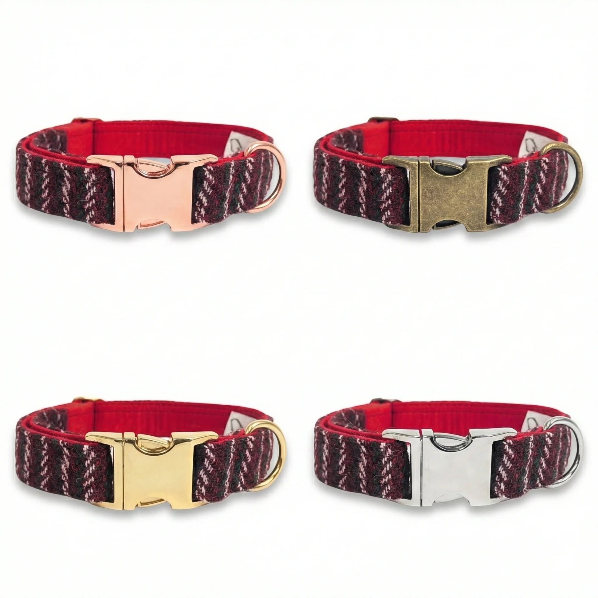 Four dog collars with different buckles on a white background