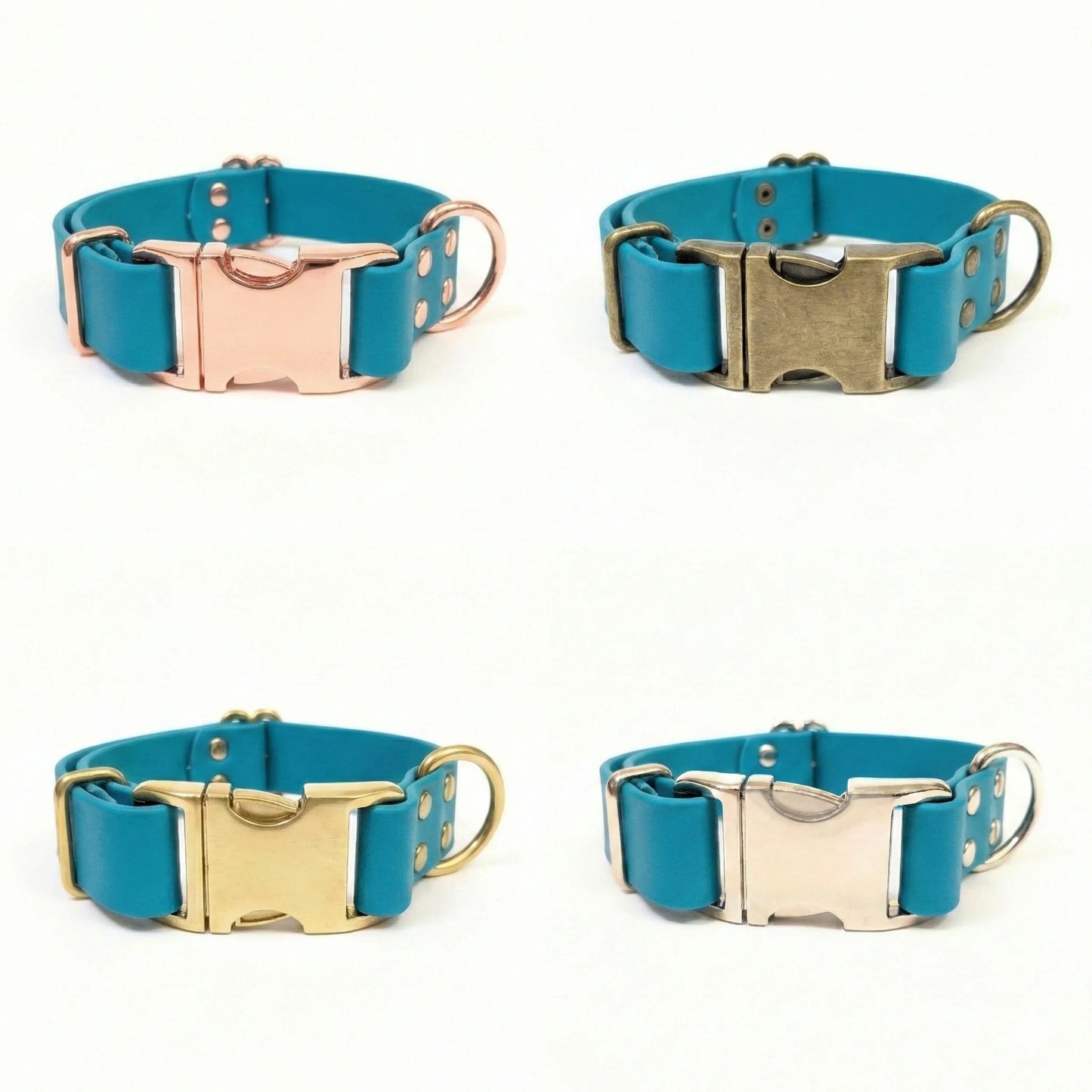 Four turquoise blue dog collars with different colored metal buckles on a white background