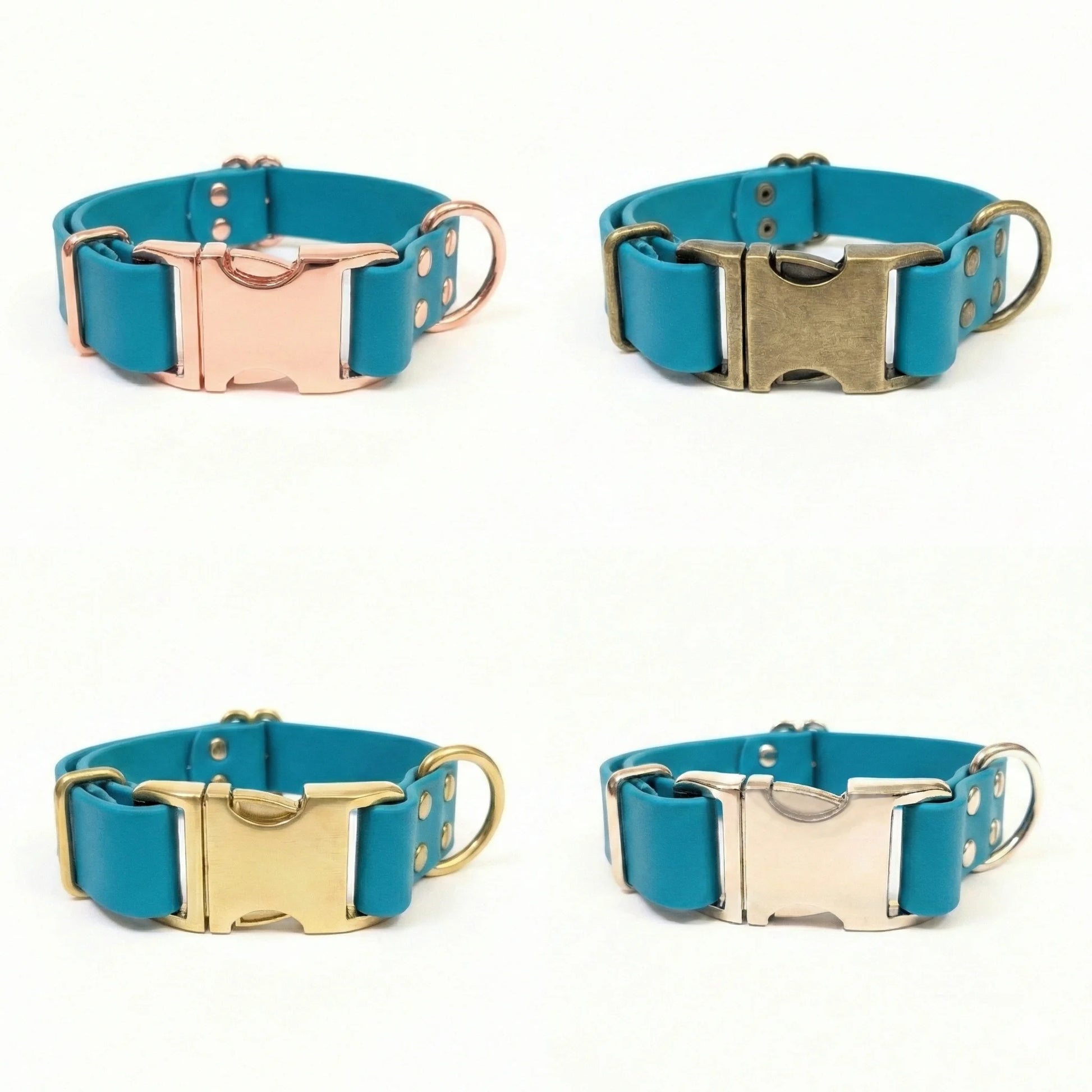 Four turquoise blue dog collars with different colored metal buckles on a white background