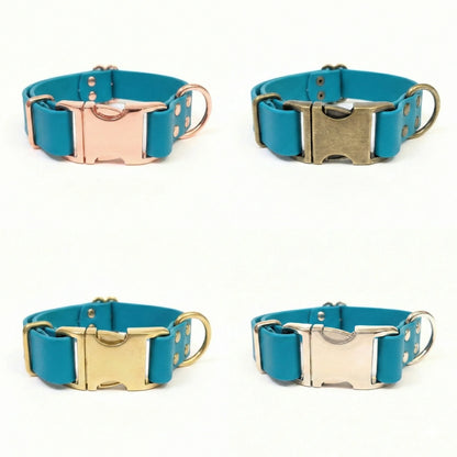 Four turquoise blue dog collars with different colored metal buckles on a white background