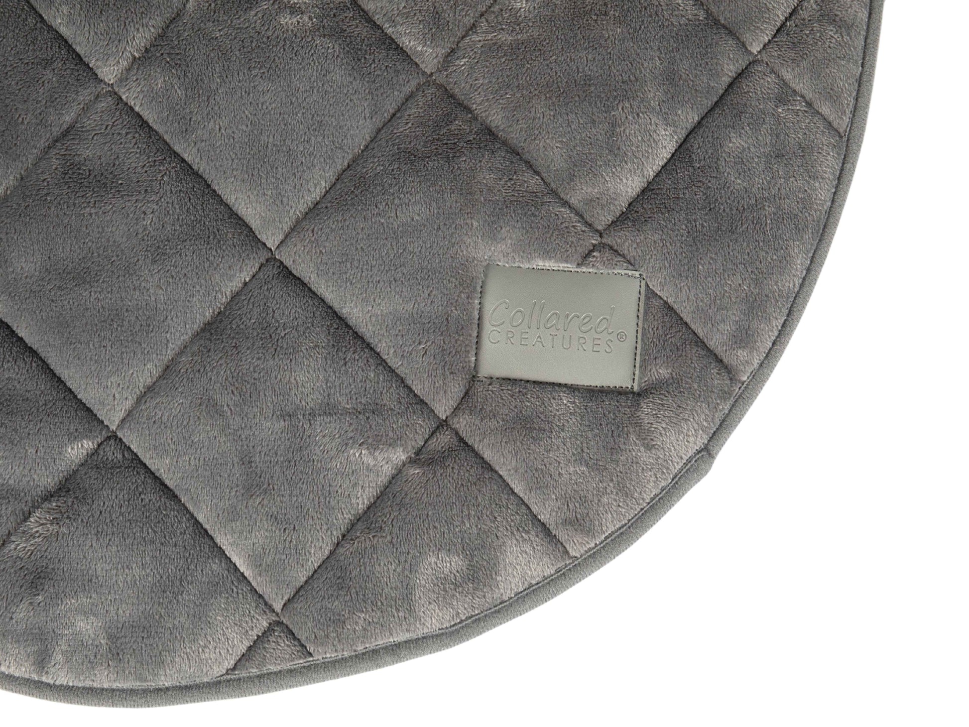 close up of dog bed mat on white background