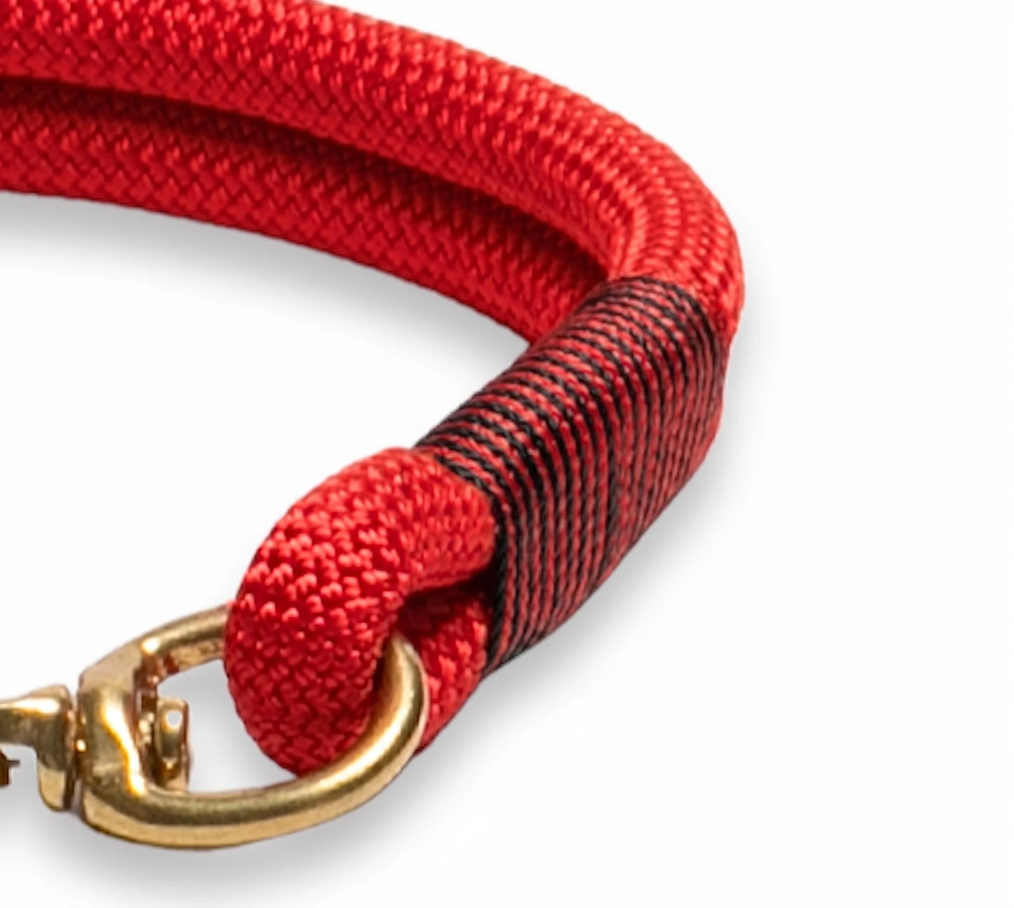 close up of Red rope dog collar with gold clasp on a white background