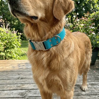 Teal Waterproof Biothane Metal Clasp Dog Collar