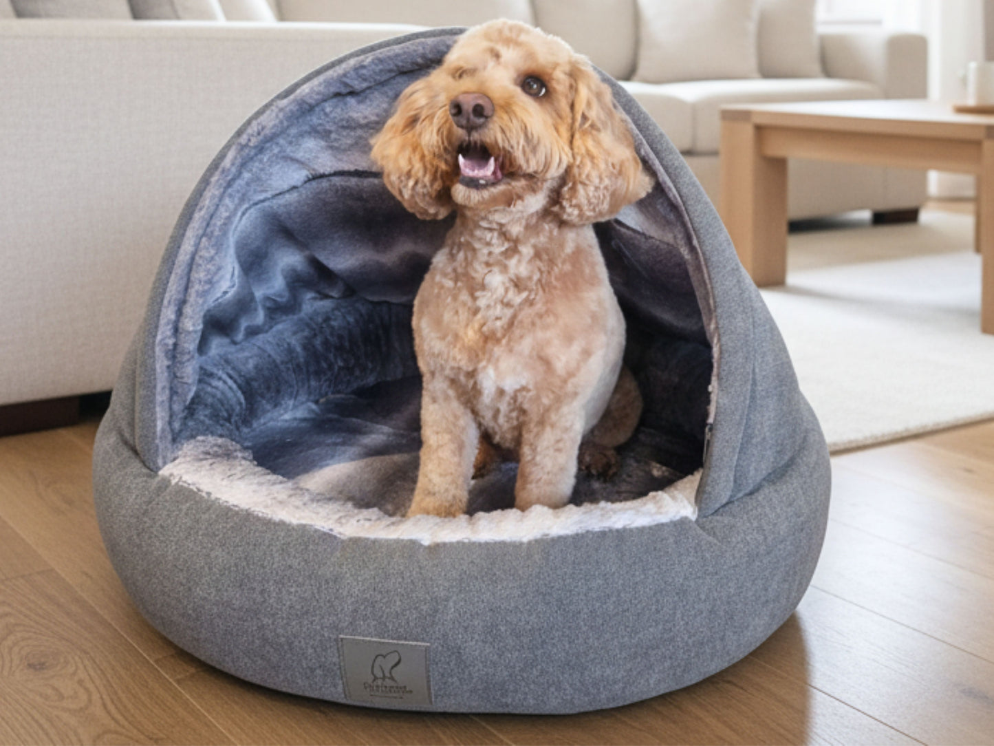 Dog sitting inside a grey cocoon pet bed in a living room.