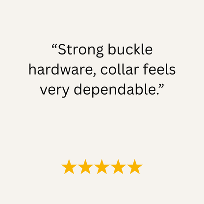 Wine & Beige Multicolour Waterproof Biothane Buckle Dog Collar - Collared Creatures LTD