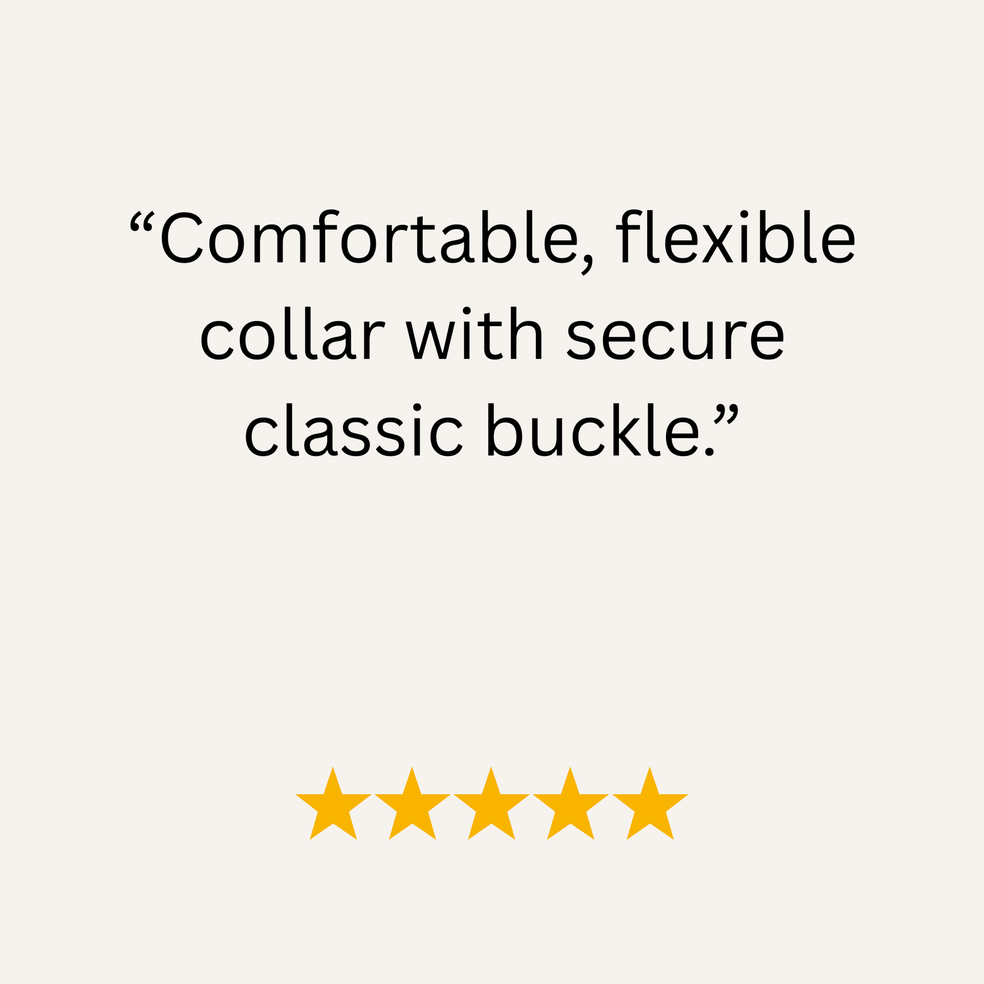 Turquoise & Teal Multicolour Waterproof Biothane Buckle Dog Collar - Collared Creatures LTD