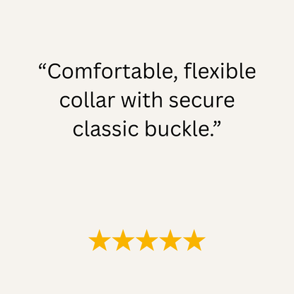 Turquoise & Teal Multicolour Waterproof Biothane Buckle Dog Collar - Collared Creatures LTD