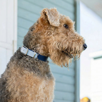 Navy & Pastel Pink Multicolour Waterproof Biothane Buckle Dog Collar - Collared Creatures LTD