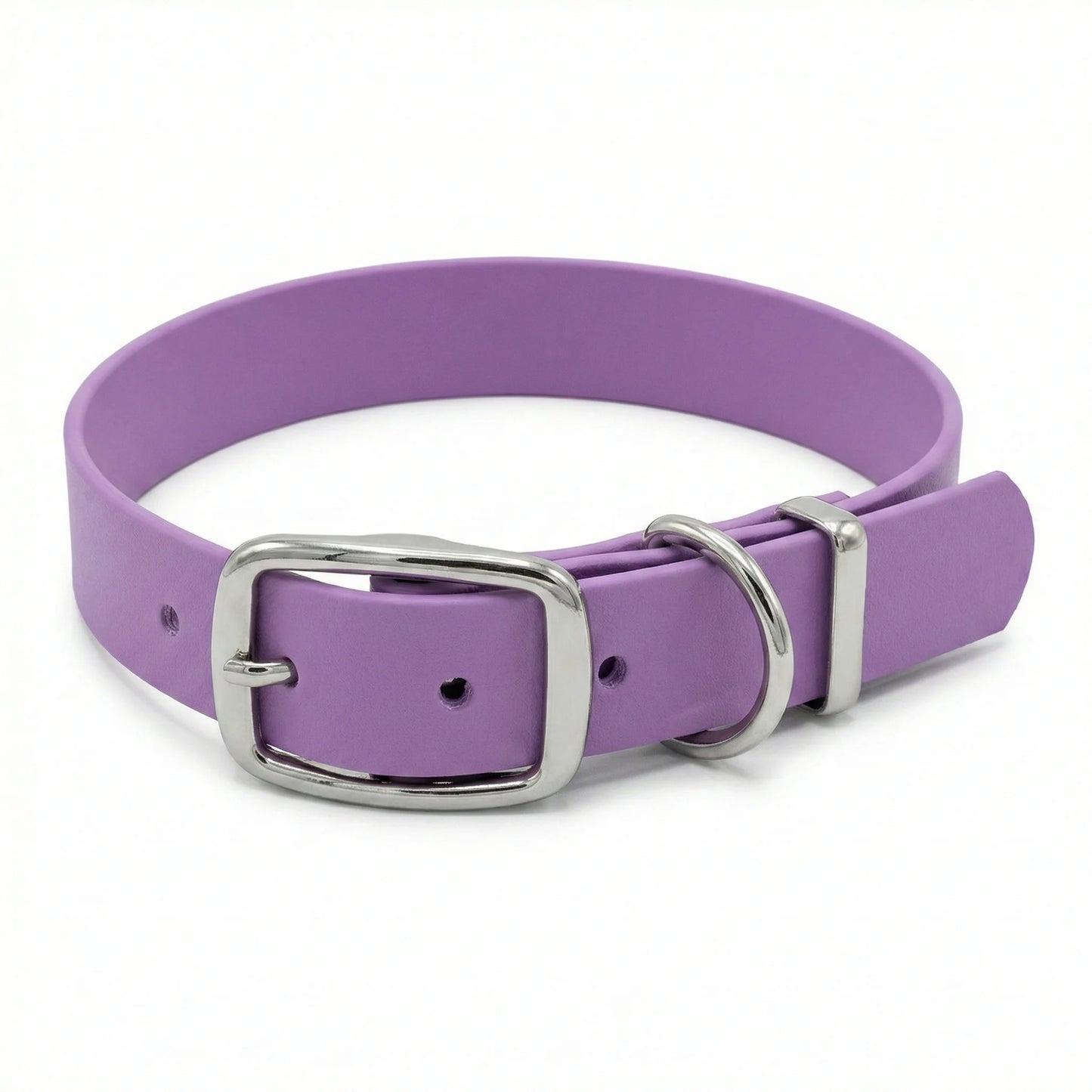Amethyst Waterproof Biothane Buckle Dog Collar - Collared Creatures LTD