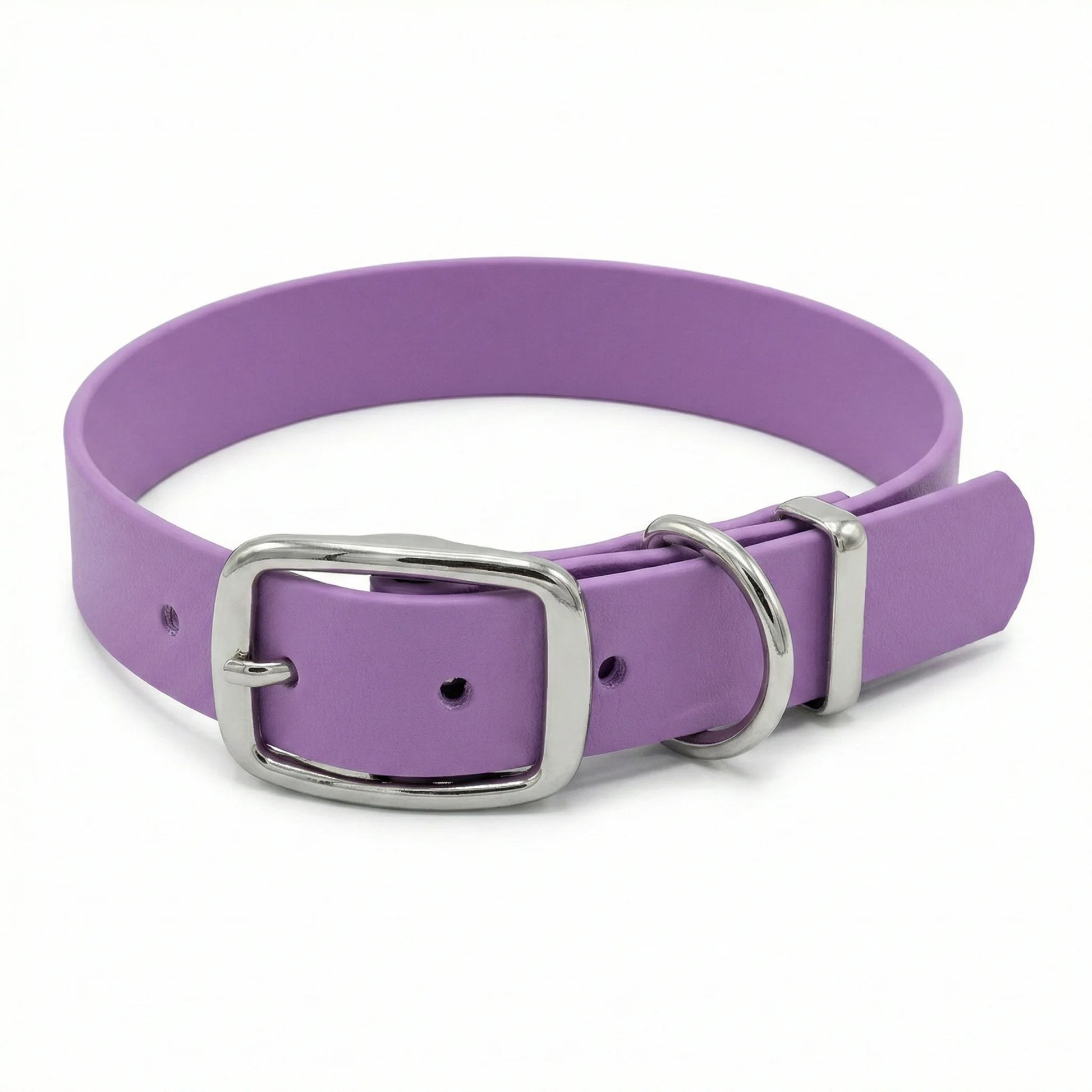 Amethyst Waterproof Biothane Buckle Dog Collar - Collared Creatures LTD