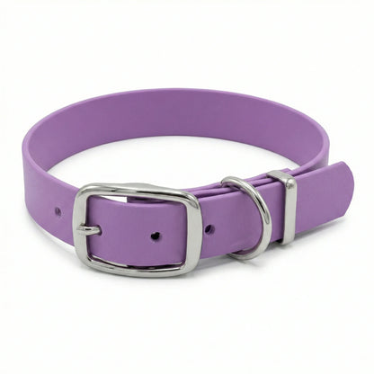 Amethyst Waterproof Biothane Buckle Dog Collar - Collared Creatures LTD