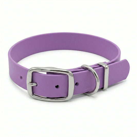 Amethyst Waterproof Biothane Buckle Dog Collar - Collared Creatures LTD