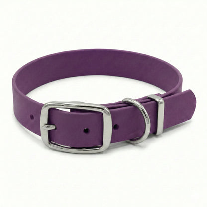collared creatures biothane buckle collar in purple grape