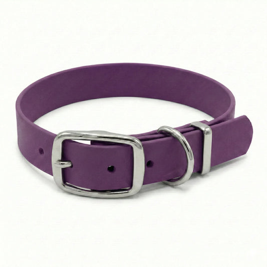 collared creatures biothane buckle collar in purple grape