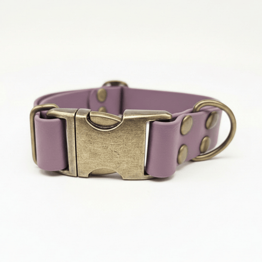 collared creatures waterproof biothane dog metal clasp collar in mauve for dogs