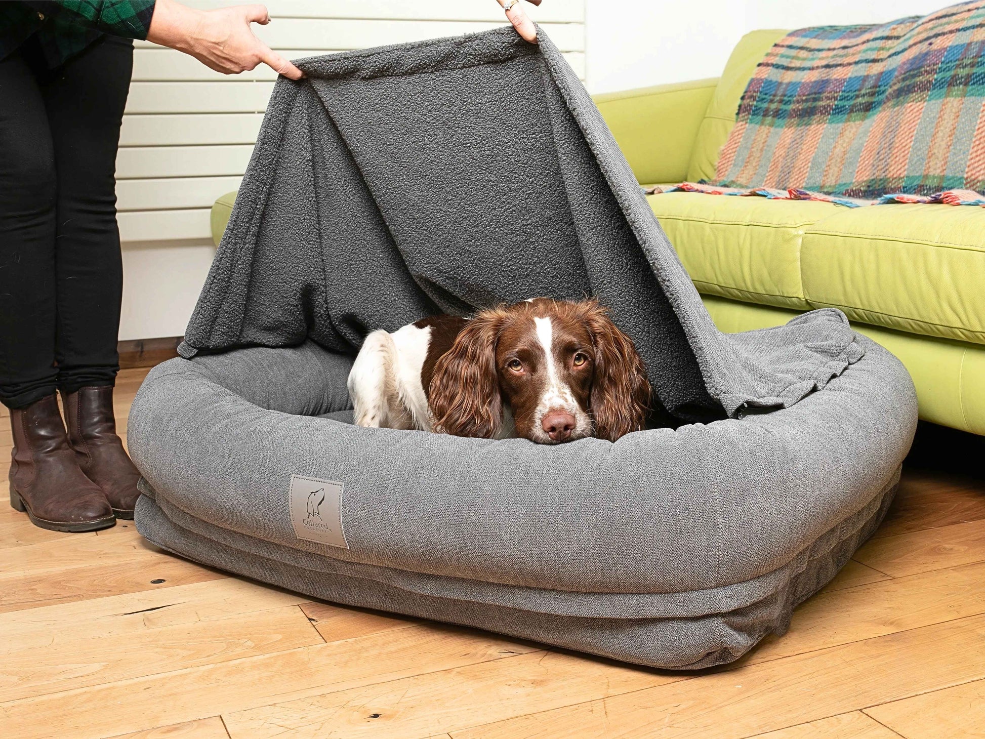 Dog nestled inside bolster bed with hood being lifted to reveal secure, covered sleeping space